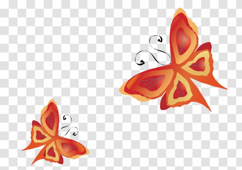 Butterfly Insect Euclidean Vector Transparent PNG