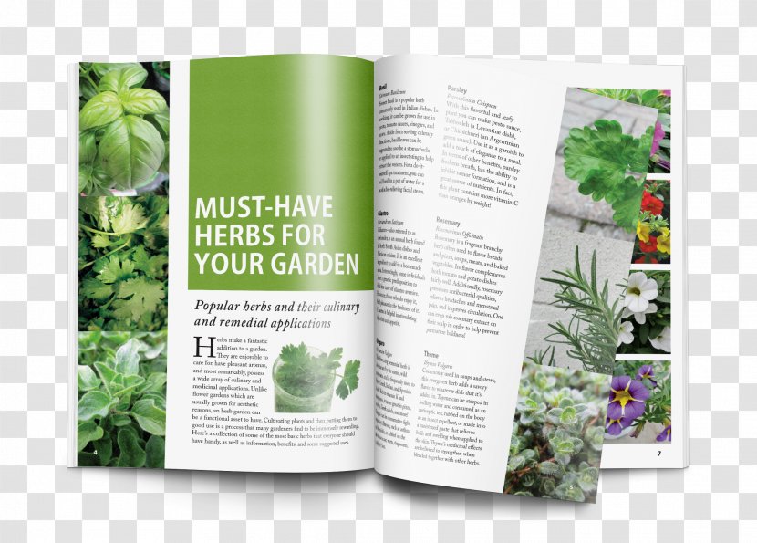 Herbalism Magazine Gardening Article - Herbal Transparent PNG