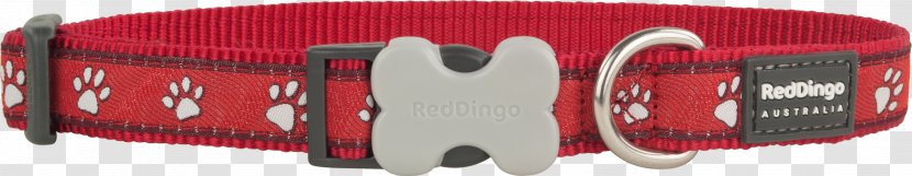 Dog Collar Dingo Harness Transparent PNG