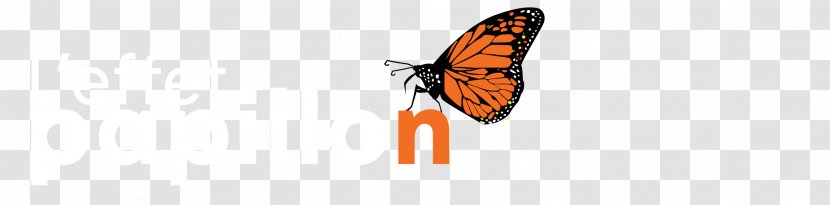 Monarch Butterfly Nymphalidae Font - Brush Footed Transparent PNG
