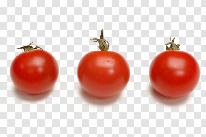 Plum Tomato Cherry Bush Vegetarian Cuisine Vegetable - Three Small Tomatoes Transparent PNG