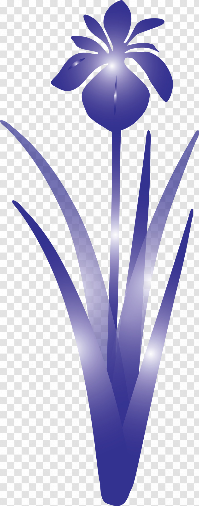 Iris Flower Spring Flower Transparent PNG