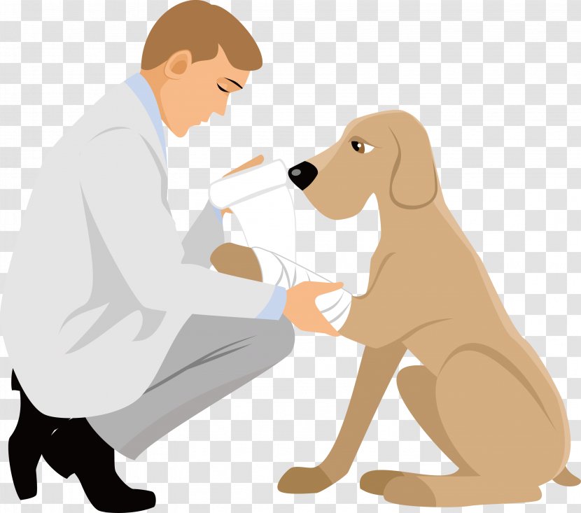 Puppy Cartoon Physician - Vector Animal Doctor Transparent PNG