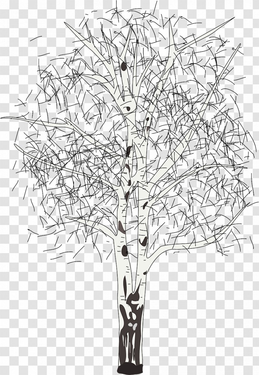 Tree Silver Birch Paper Syrup Clip Art Transparent PNG
