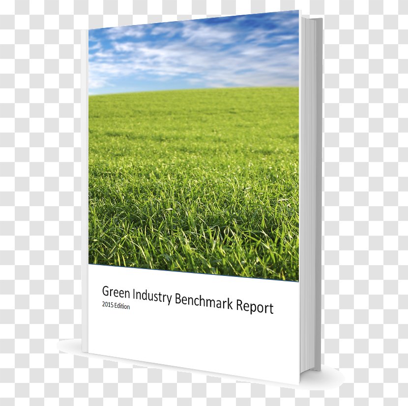 Crop Grassland Advertising Ecosystem Land Lot - Prairie - Green Annual Report Cover Transparent PNG