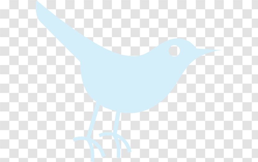 Paper Beak Illustration - Twitter Cliparts Transparent PNG