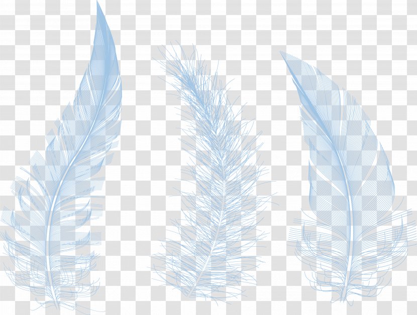 Feather Product Design Leaf - Plant Transparent PNG