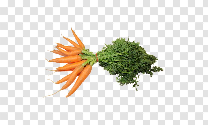 Baby Carrot Vegetable Food - Health Transparent PNG