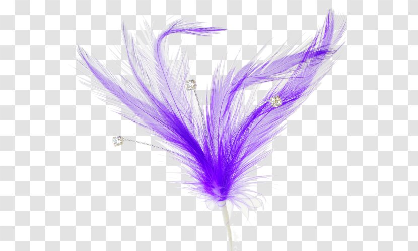 Feather Quill Clip Art - Brush Transparent PNG