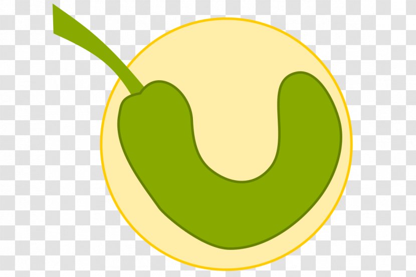 Fruit Clip Art - Design Transparent PNG