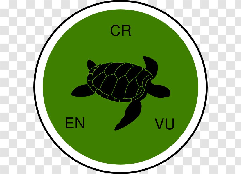 Sea Turtle Clip Art Silhouette Vector Graphics - Animal Track Transparent PNG