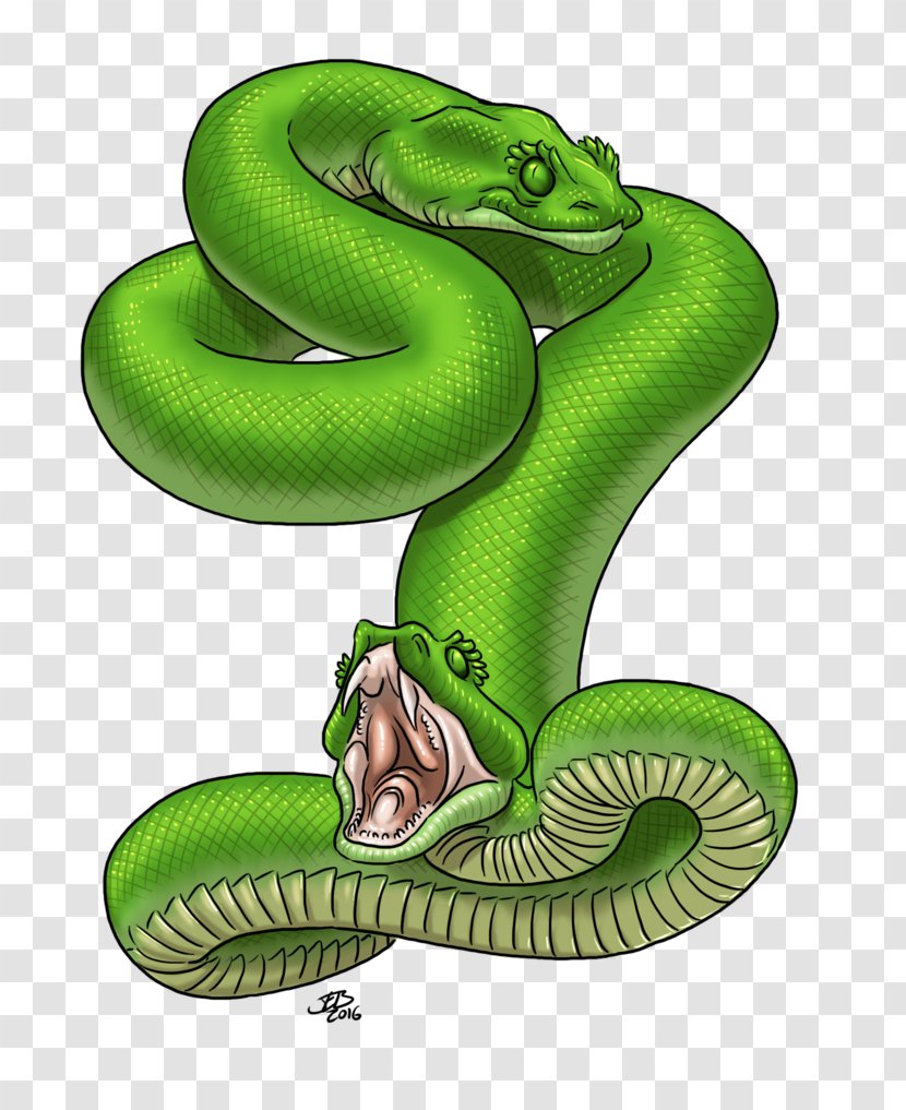 Serpent Amphisbaena Art Mythology Dragon - Reptile Transparent PNG