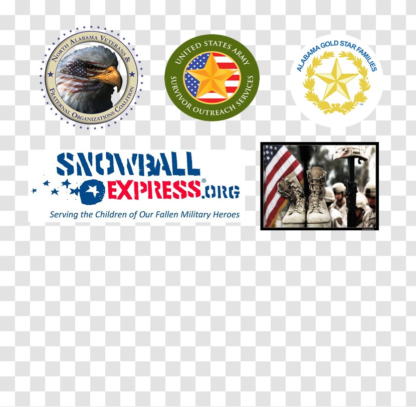 Logo Brand Snowball Express Inc Font - Racing Flyer Transparent PNG