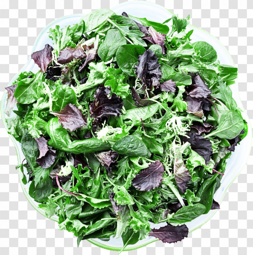 Salad Transparent PNG