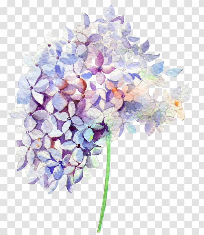 Flowers - Lilac - Flower Bouquet Transparent PNG