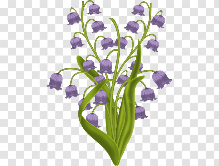 Lily Of The Valley Plant Stem Cut Flowers Violet May - Viola - Internet Element Transparent PNG