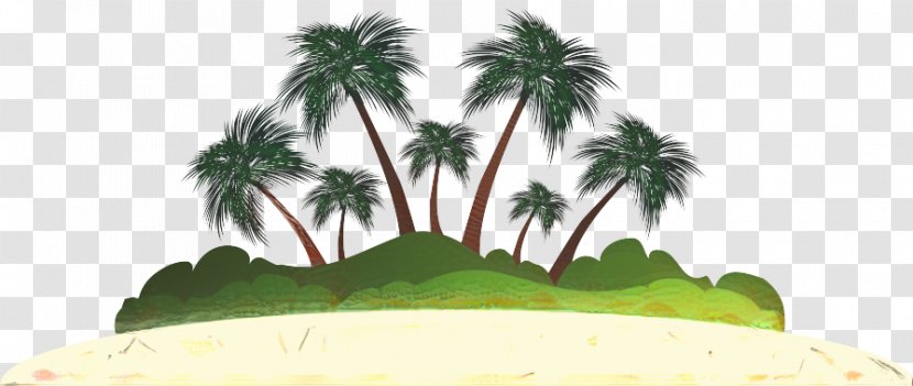 Palm Trees Silhouette Photography Drawing - Plant - Nature Transparent PNG