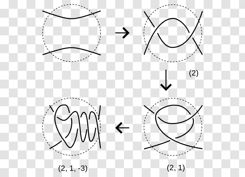Tangle Circle Mathematics Knot Theory Embedding - Black Transparent PNG