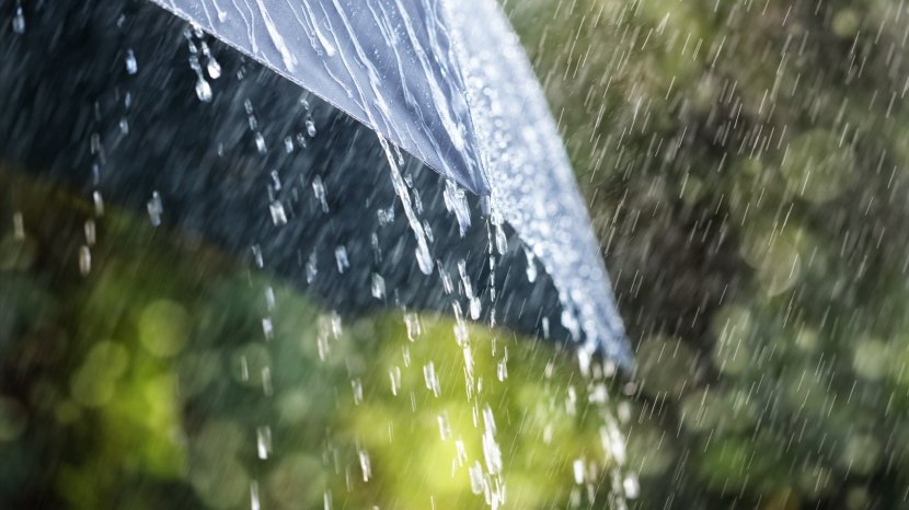 Rain Precipitation Tropical Cyclone Weather Forecasting National Service - Wind Transparent PNG