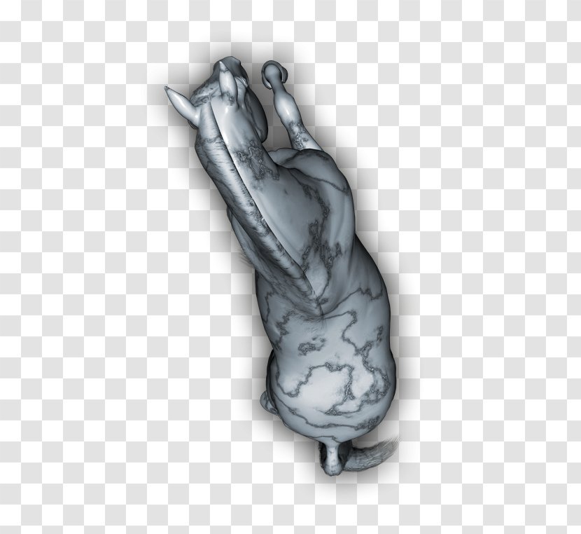 Finger Organism - Hand - Design Transparent PNG