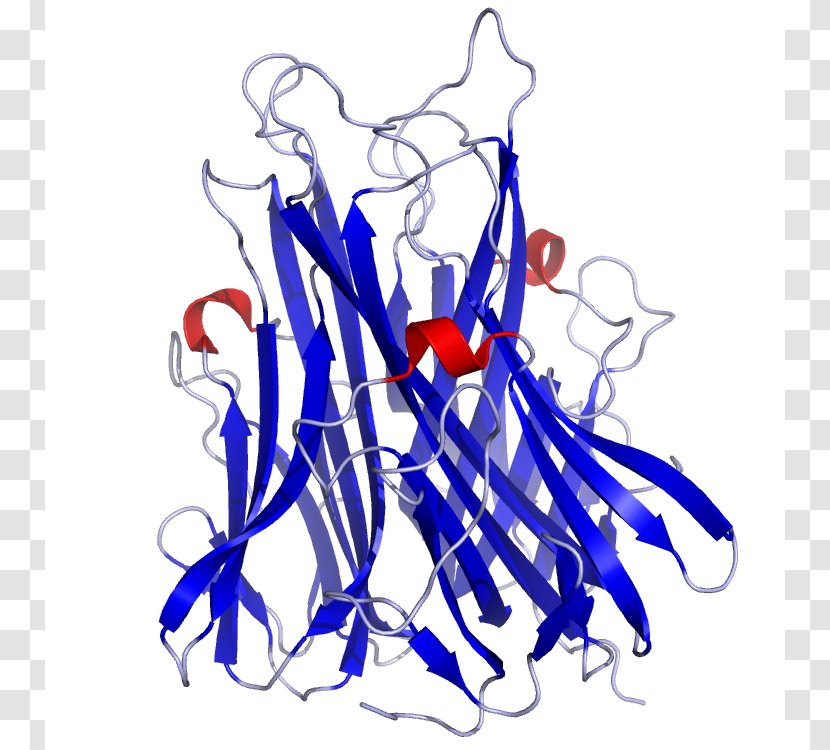 Tumor Necrosis Factor Alpha Superfamily Cytokine TNF Receptor - Frame - Ob Gyn Pics Transparent PNG