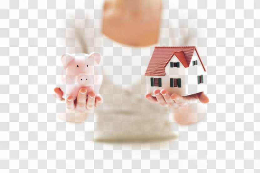 Fixed-rate Mortgage Loan Home Equity Payment - Bank - Piglet Savings And Business Banking Transparent PNG