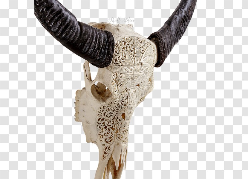 Horn Animal Skulls Cattle Bone - Goat - Buffalo Skull Transparent PNG