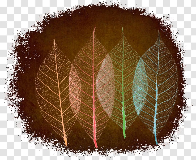 Leaf - Art - Brown Transparent PNG