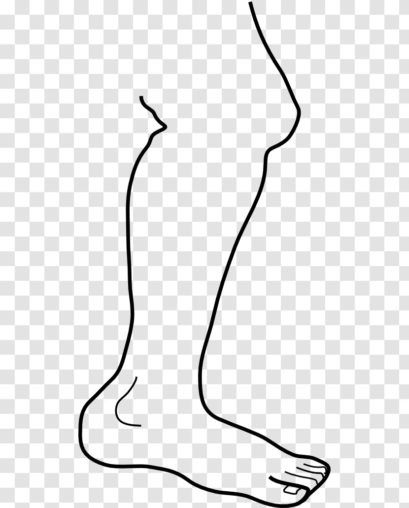 Library Cartoon - Line Art - Coloring Book Neck Transparent PNG