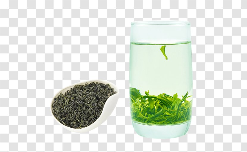 Green Tea Gyokuro Biluochun Coffee - Food Transparent PNG