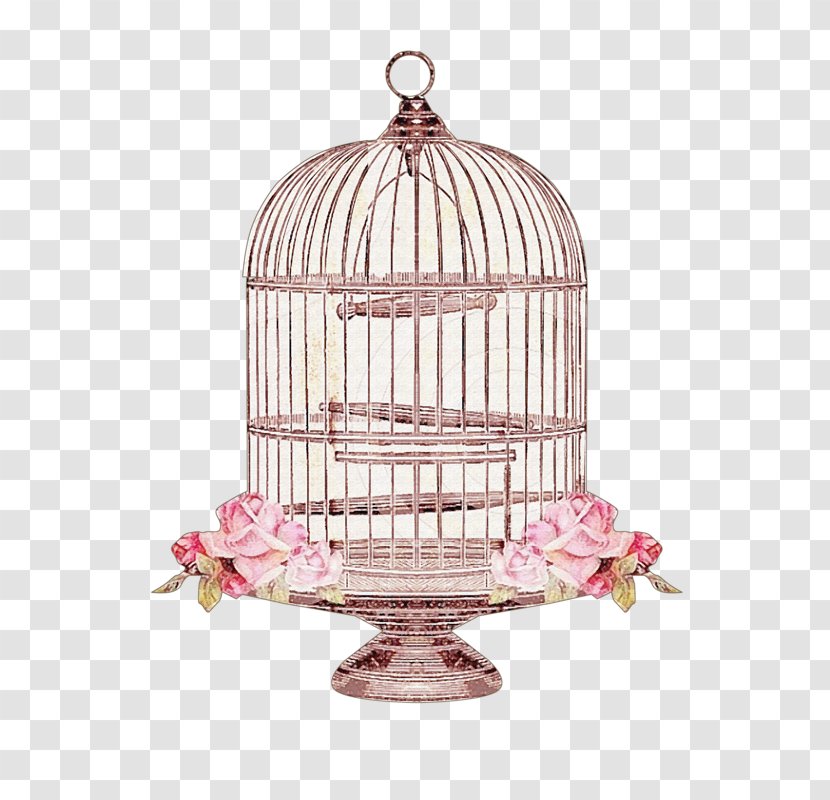 Cage Vector - Pink - Neelwafuratcom Transparent PNG