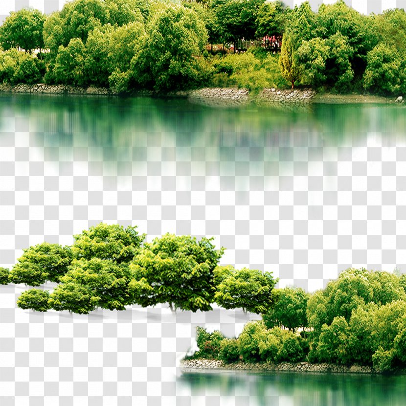 Putuo District, Zhoushan Lake Icon - Shrub - Trees Transparent PNG