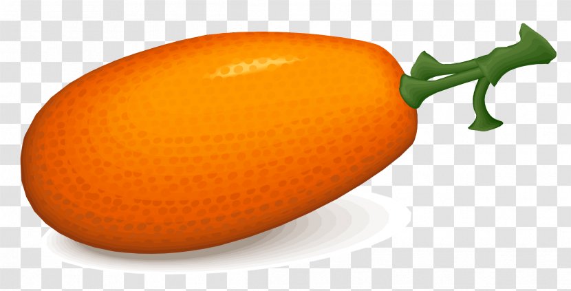 Kumquat Fruit Clip Art - Persimmon - Diet Food Transparent PNG