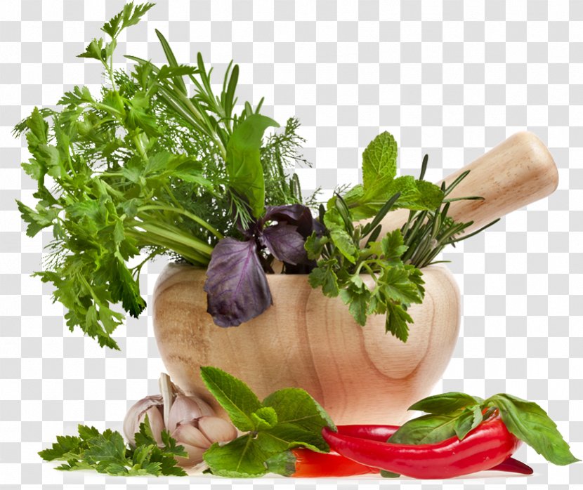 Herb Vegetarian Cuisine Spice Restaurant Leaf Celery - Chopped Onion Transparent PNG