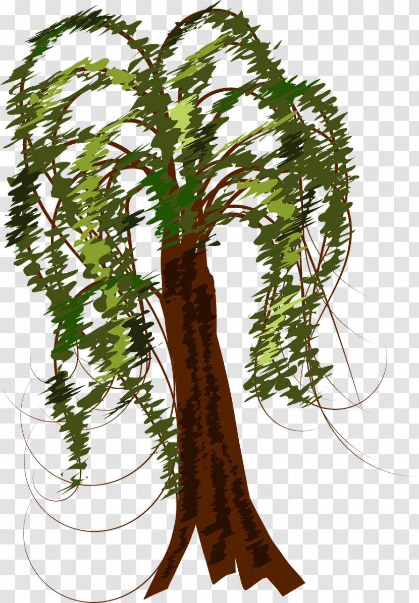 Branch Tree Clip Art - Weeping Willow Transparent PNG