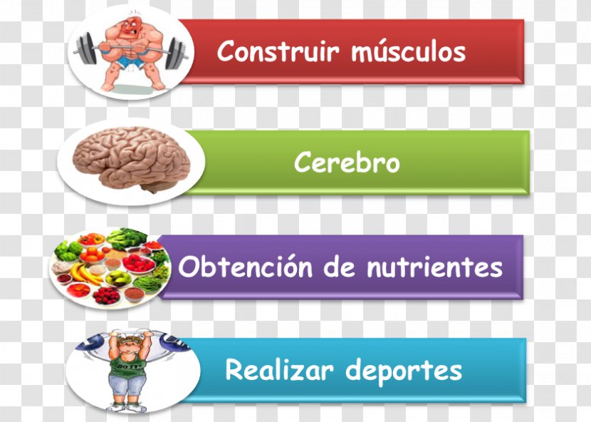 Carbohydrate Diet Food - Dieting - Odontologo Transparent PNG