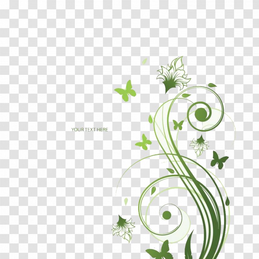Flower Stock Photography Green Floral Design - Plant - Grass Transparent PNG