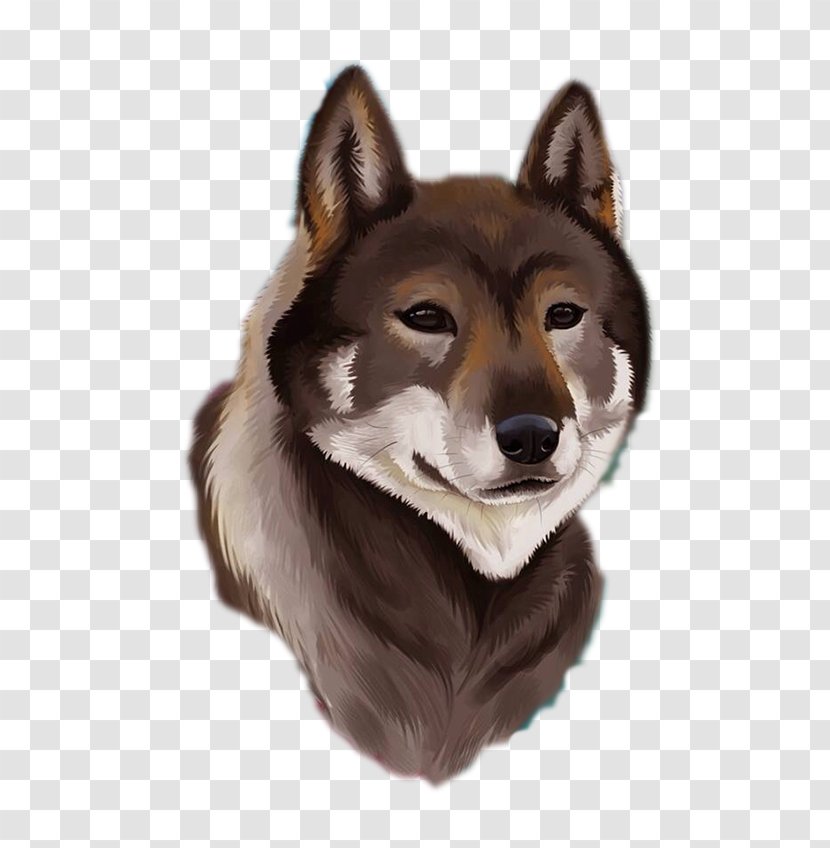 Dog Breed Wolfdog Illustration - Exquisite Hand-painted Dogs Avatar Transparent PNG