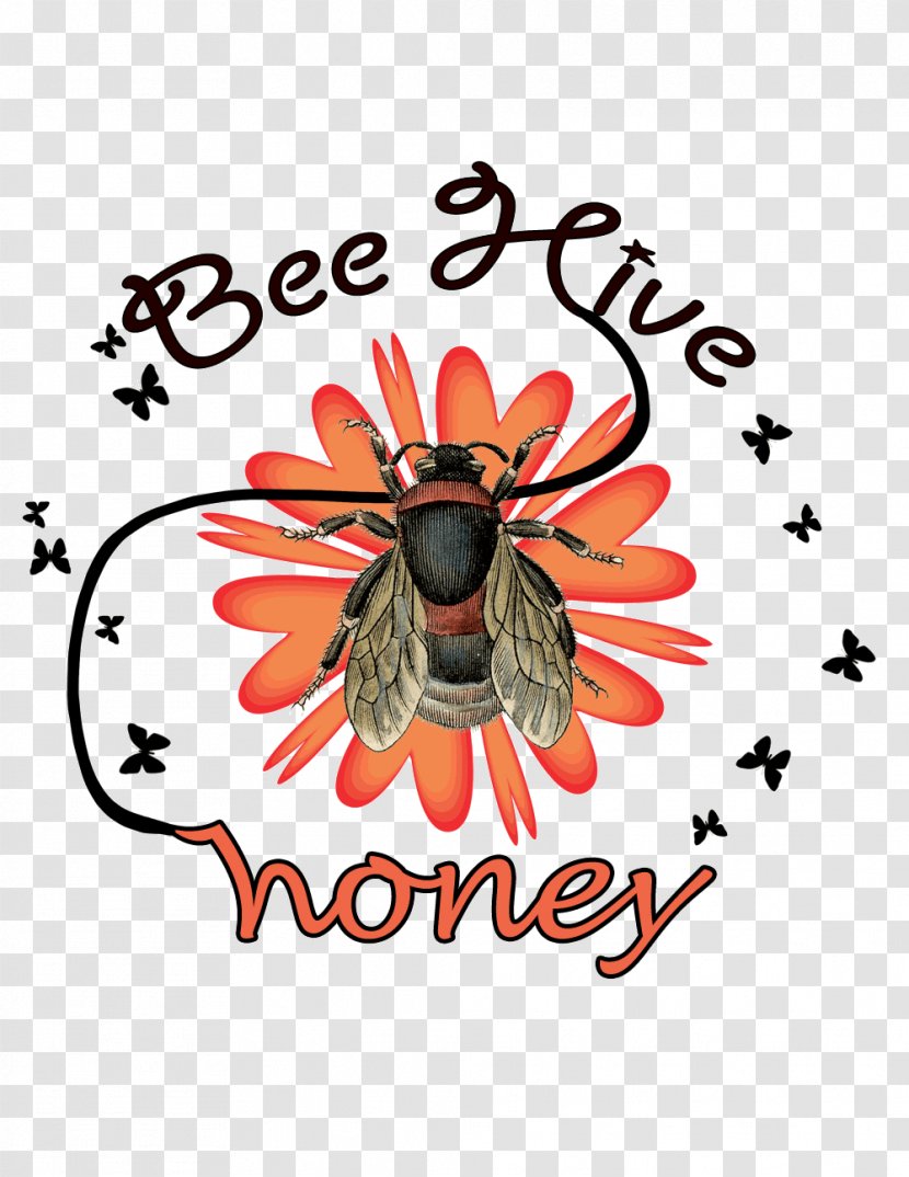 Honey Bee Graphic Designer - Poster Transparent PNG