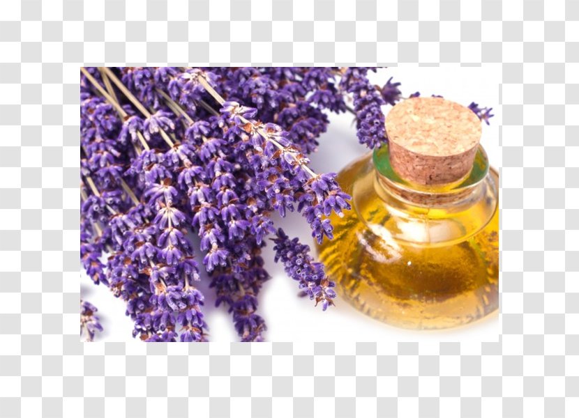 Lavender Oil Essential Foot Odor - Purple - Watercolor Transparent PNG
