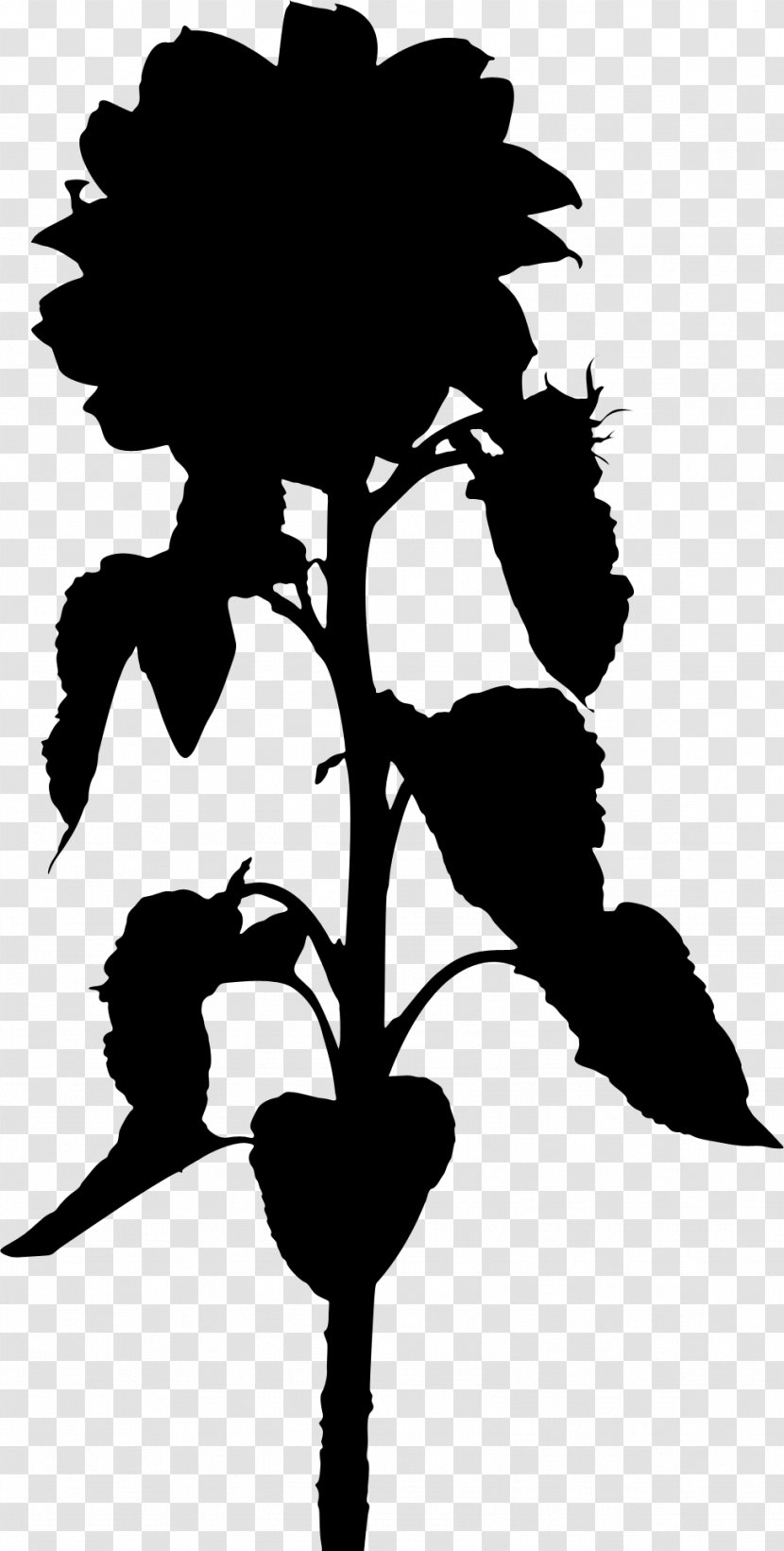 Flower Plant Stem Leaf Clip Art Silhouette - Herbaceous - Plants Transparent PNG