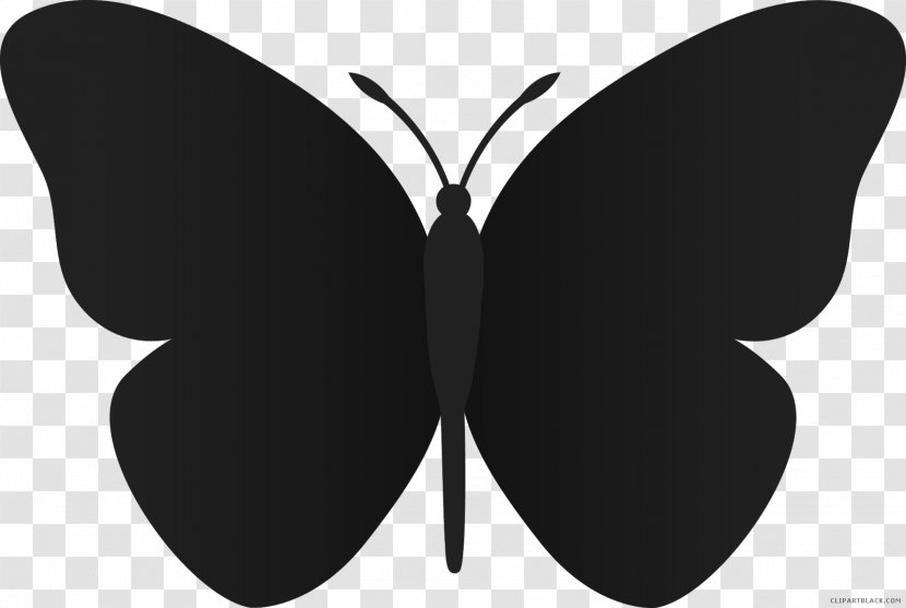 Clip Art Butterfly Image Download Free Content - Silhouette Transparent PNG
