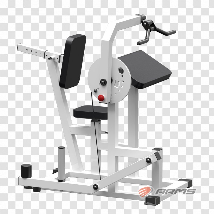 Exercise Machine Squat Fitness Centre Bench Press Yaguar-Sport Transparent PNG