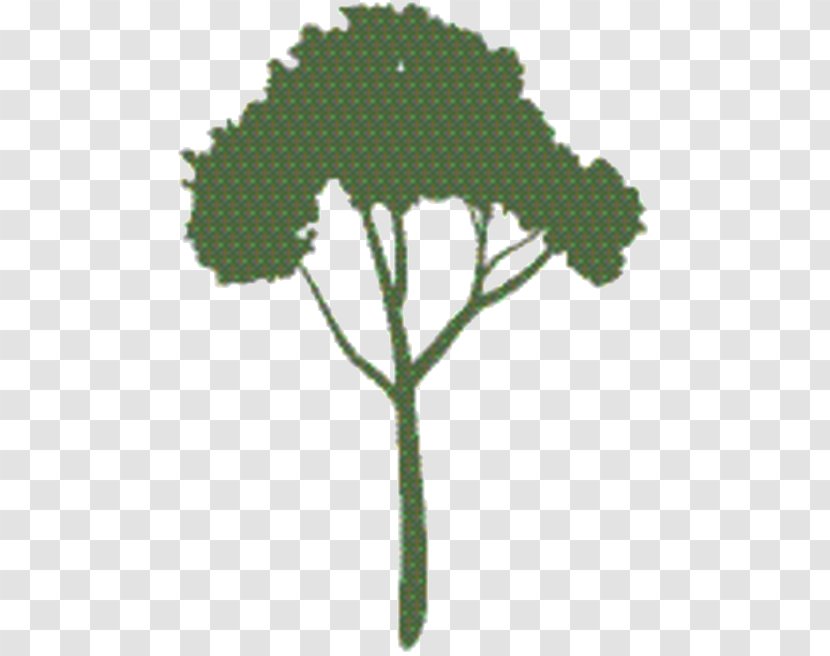 Tree Cartoon - Heracleum Plant Herb Transparent PNG