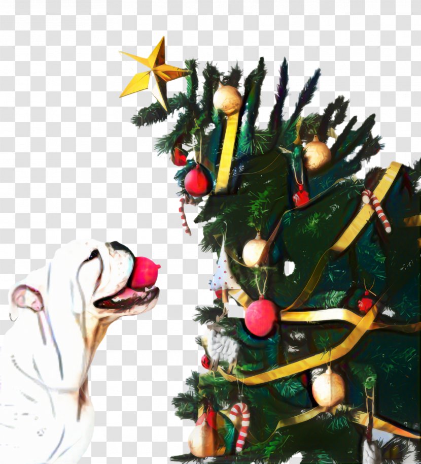 Christmas And New Year Background - Animal - Lights Fir Transparent PNG