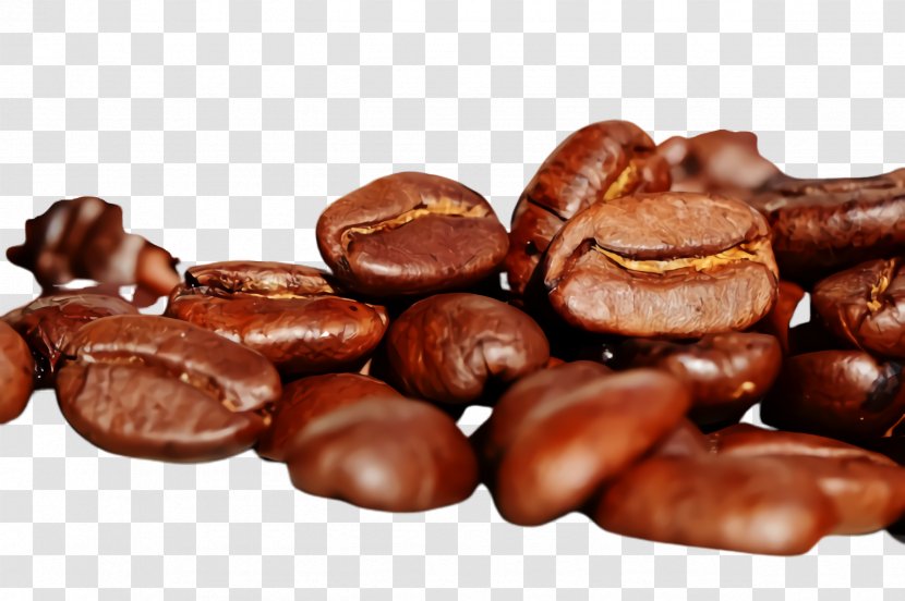 Chocolate - Bean - Chocolatecoated Peanut Plant Transparent PNG