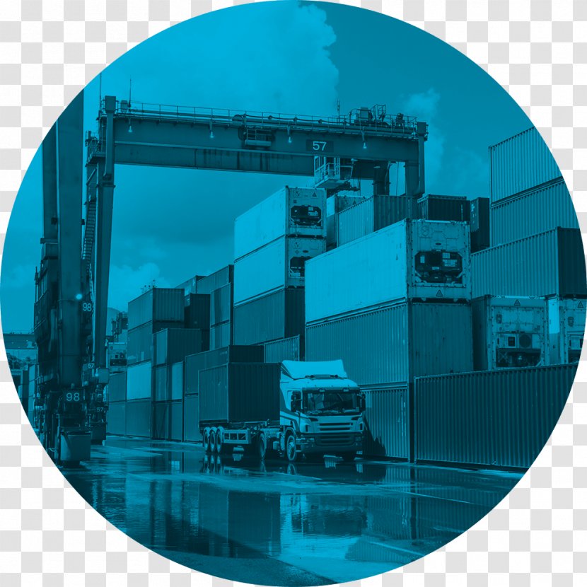 Fumigation Pest Control Industry Cargo Freight Transport - Nutonian Inc Transparent PNG