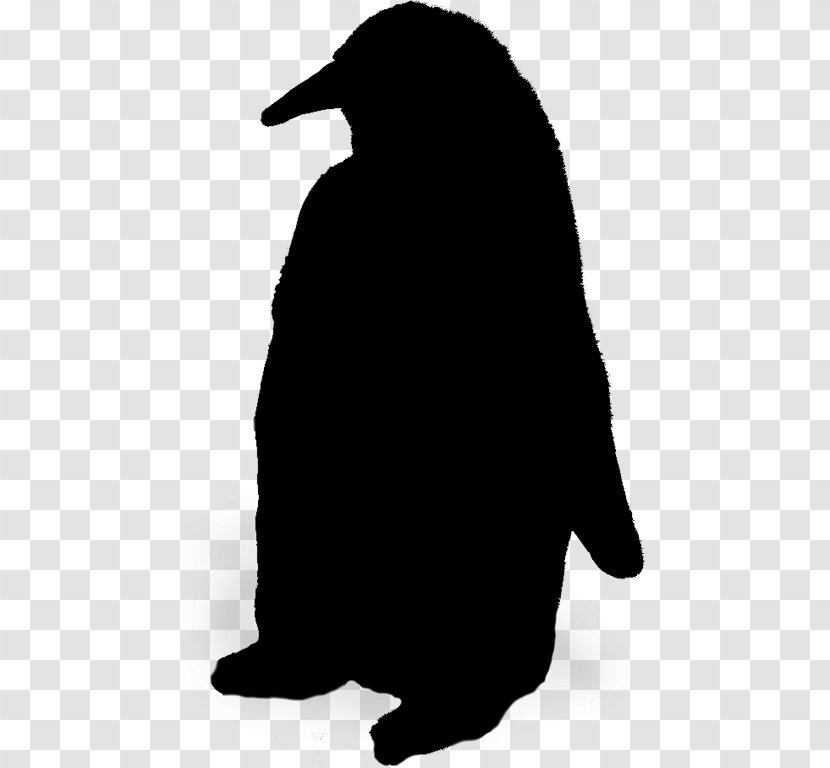 Penguin Silhouette Beak Black M Transparent PNG