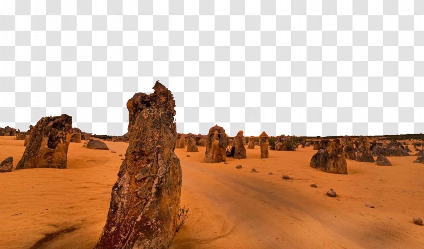 The Pinnacles Mojave Desert Thar Deserts Of Australia Nambung National Park - Ecoregion - Attractions Transparent PNG