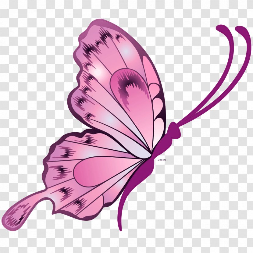 Butterfly Drawing Vector Graphics Sticker Illustration - Feather Transparent PNG